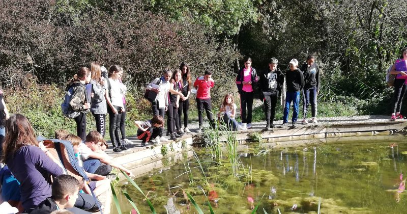 Projet des cinquièmes du collège Martin : ils se mouillent pour l’environnement !