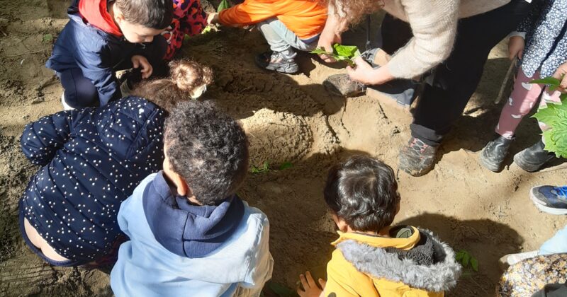 Découverte sensorielle et artistique de l’environnement avec les TPS PS de Saint-Fons