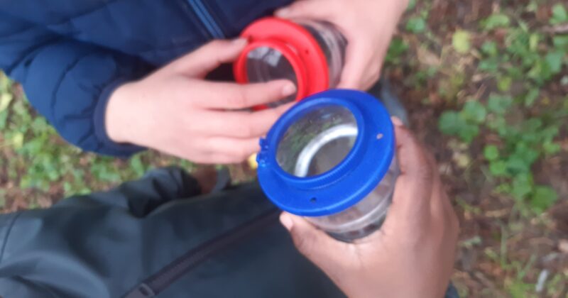 Une matinée d’école du dehors au Parc Bernard Clavel