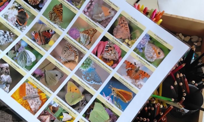 pollinis’Actions : une après-midi au cœur du vivant à l’école des Pierres de Ternay